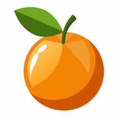 vector illustration of orange fruit