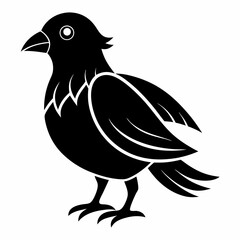 silhouette of a bird