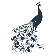Fototapeta premium Stylized Peacock Graphic Vector with Elegant White Background