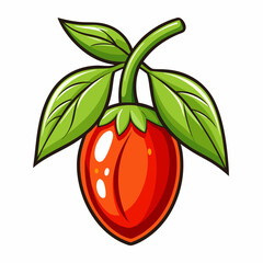 vector illustration of a tomato