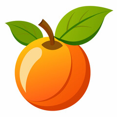vector illustration of an orange