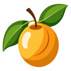 vector illustration of an orange