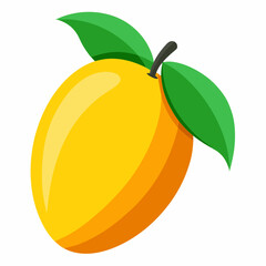 vector illustration of an orange