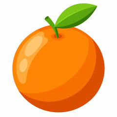 vector illustration of orange fruit