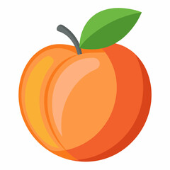 vector illustration of an orange