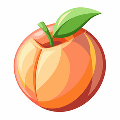 vector illustration of an orange