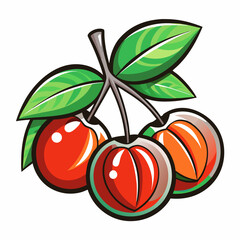 vector illustration of ripe apricots