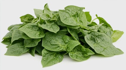 Botanical shot of rare new zealand spinach (tetragonia), bright green triangle-shaped leaves