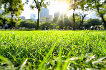 Walking through a lively park filled with lush greenery and sunlight on a bright day