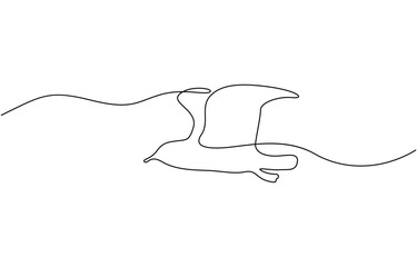A flying bird line drawing continuous line art vector illustration, Continuous single line drawing of a flying seagull, line art vector.