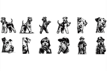 Naklejka premium Airedale Terrier