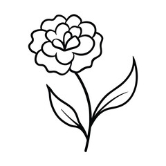 sweet william flower line art vector art illustration