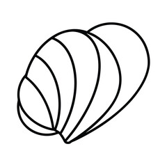 shells line art vector illustration