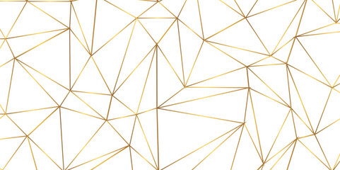 Abstract geometric background with connecting dots and lines with low poly triangle shapes. Polygonal Mesh Background Vector design digital technology concept Global network connection data structure. © Kainat 