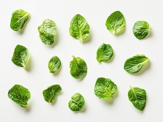 Clean mustard greens, neatly arranged, bright and crisp, perfect lighting, studio shot, pure white background
