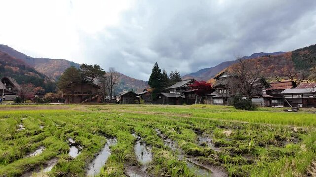Traditional gassho style farmhouses of Shirakawa go Village are bordering flooded rice fields in late autumn, Japan