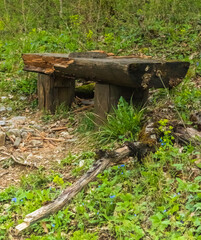 Obraz premium old wooden bench in the forest 
