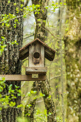 wooden bird house bird house on a tree in the forest 