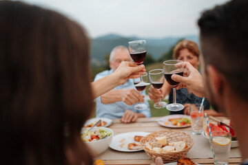 Family toasting with wine during spring family barbecue.