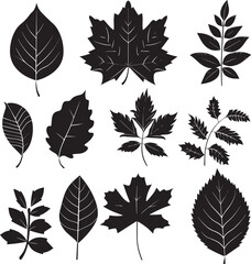 Leaf Series silhouette vector black on white background