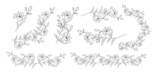 Hand drawn silhouette of botanical leaves. Set branches and flowers. Lilies. Wedding decorations. Tattoo outline. Line art. Wreaths. Clip art vector. Elements and templates. Transparent isolated