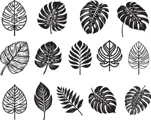 Tropical leaf icon linear black on white background