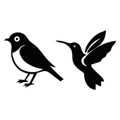two birds on a branch