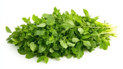 Obraz premium Fresh mint, parsley, basil. Generative AI