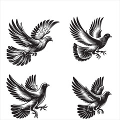 Obraz premium Pigeons flying vector