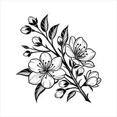 A Monochrome Floral Composition