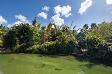 The Yarkon Park in Tel Aviv in summer