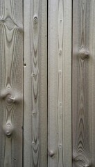 Grey beech wooden background texture with a natural and rustic structure,  texture,  design