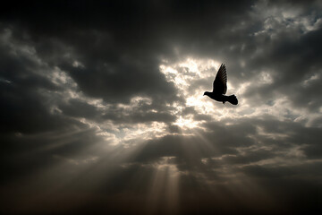Fototapeta premium dove flying to heaven