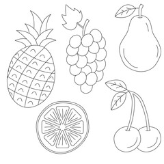 Outlined Fruit Clipart Set: Hand-drawn Fruit Illustrations: Cartoon Fruit Doodles