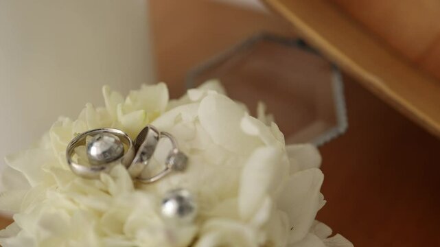 wedding gold rings in a box at the ceremony