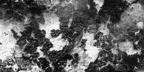 The subtle yet significant differences in texture and tonal value are brought to the forefront in this carefully observed grayscale image.
