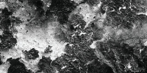 Obraz premium A meticulously detailed examination of the various imperfections and irregularities that define the unique character of this surface in grayscale. 