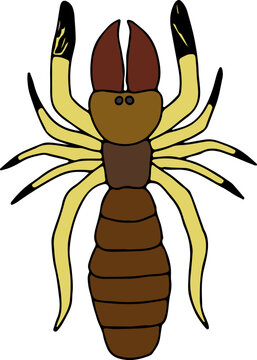 creepy spider solpuga camel spider brown with yellow legs hand drawn with curved black lines contours, top view