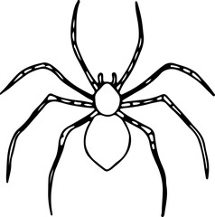 Obraz premium house spider hand drawn with curved black lines contours, top view