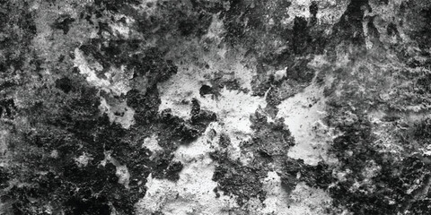 Obraz premium A visually compelling abstract composition rendered in stark black and white, emphasizing the tactile quality of a heavily marked surface. 