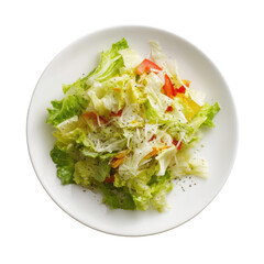 Fresh salad with mixed greens, crisp vegetables, and herbs arranged on a white plate.