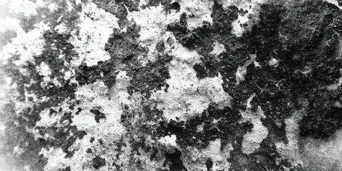 Obraz premium An abstract and visually arresting composition that deliberately highlights the often-overlooked beauty of surface imperfections and irregularities. 