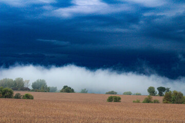 Storm in the field