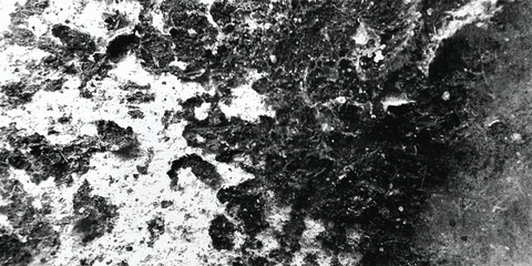 The intricate and fascinating details of a rough and weathered surface are brought to light in this sharply focused monochromatic photograph.
