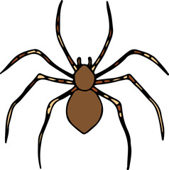 brown house spider hand drawn with curved black lines contours, top view