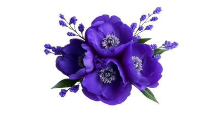 Isolated Purple Flower Arrangement Illustration On Transparent Background