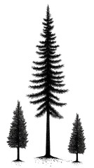 Isolated Trees Illustration On Transparent Background With Silhouette View