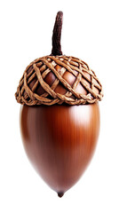 Realistic Illustration Of A Brown Acorn Isolated On Transparent Background