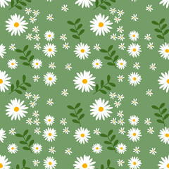 seamless pattern with camomiles