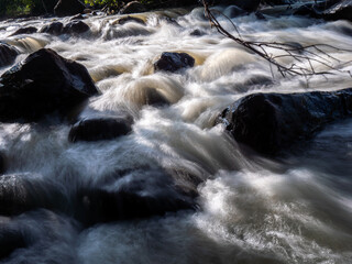 Rushing Stream: Rocks and Branch